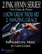 2 PAK HYMN SERIES! HOW GREAT THOU ART & AMAZING GRACE, Flute & Piano (Score & Parts) P.O.D cover